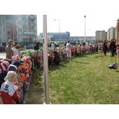 tramwaj 101_800x600.jpg